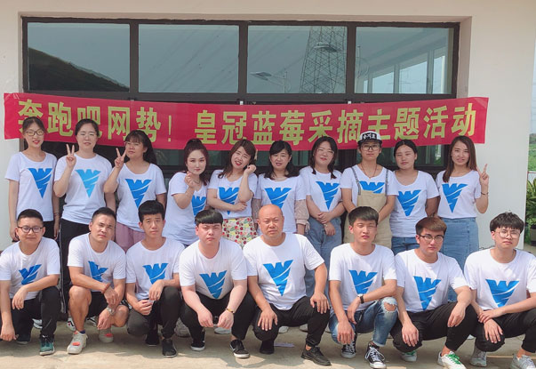 【奔跑吧網(wǎng)勢！】藍(lán)莓采摘主題團建活動